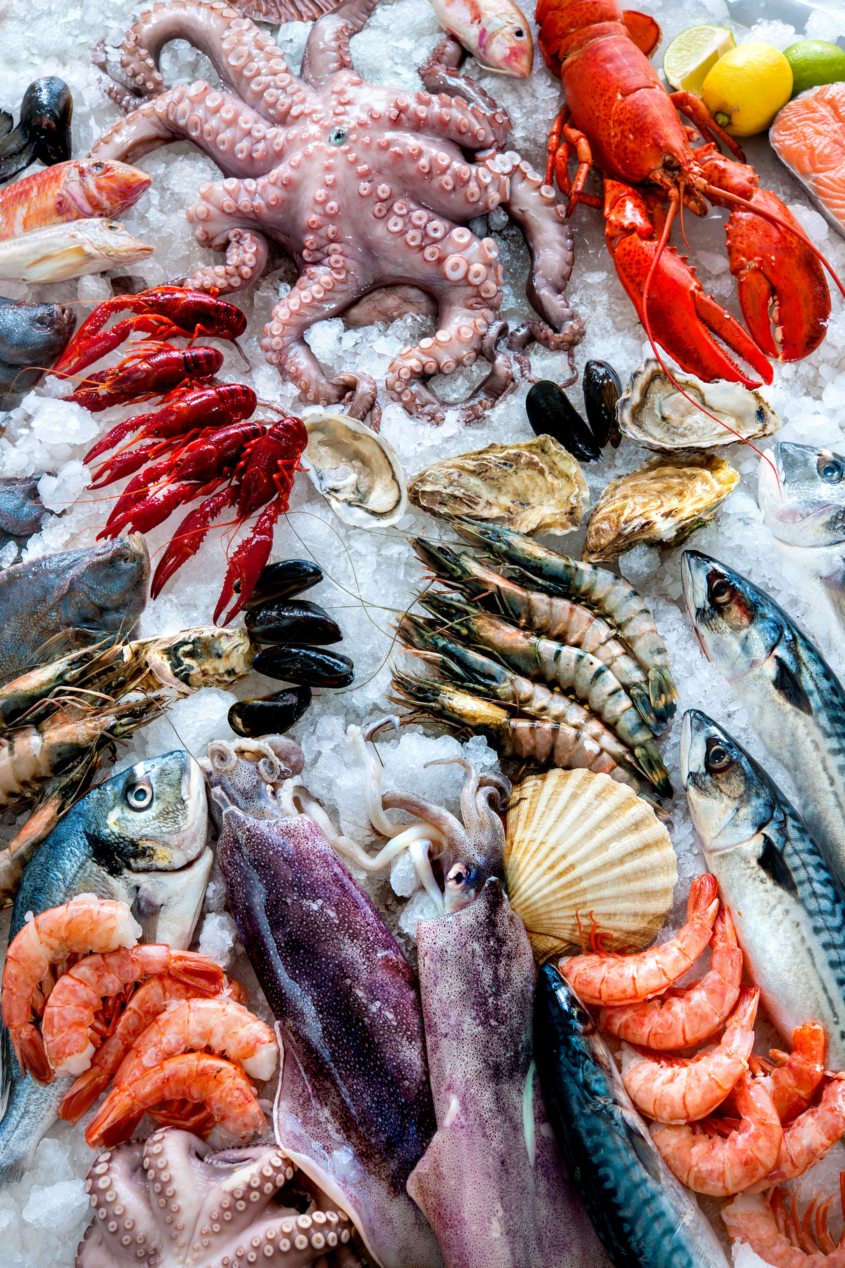 Seafood on ice